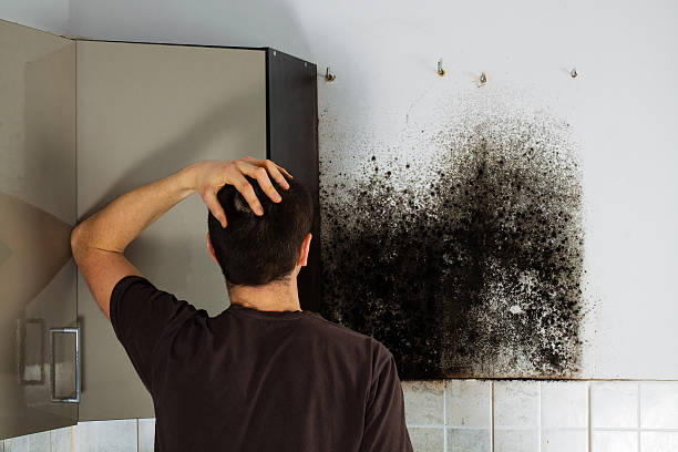 Crawl Space Mold Removal in Donalsonville, GA